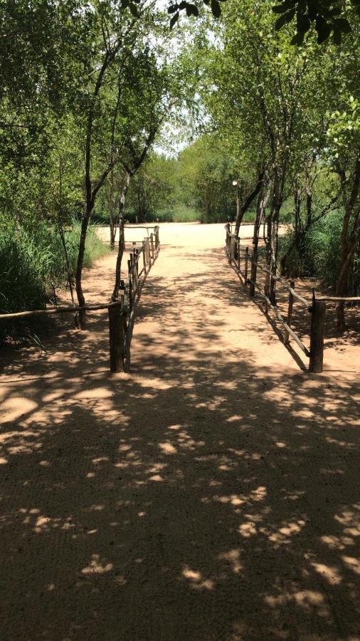 Mzsingitana Tented Camp Hoedspruit Dış mekan fotoğraf