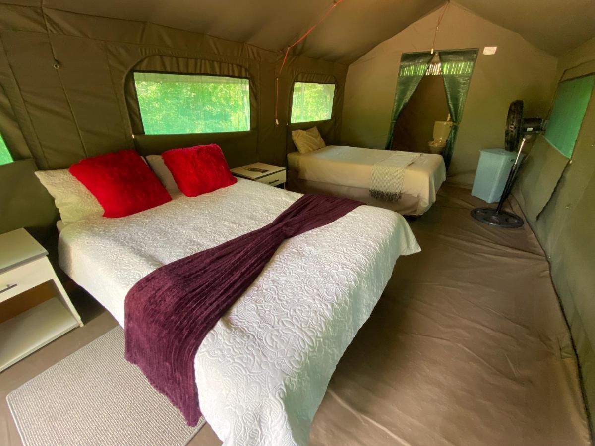 Mzsingitana Tented Camp Hoedspruit Dış mekan fotoğraf
