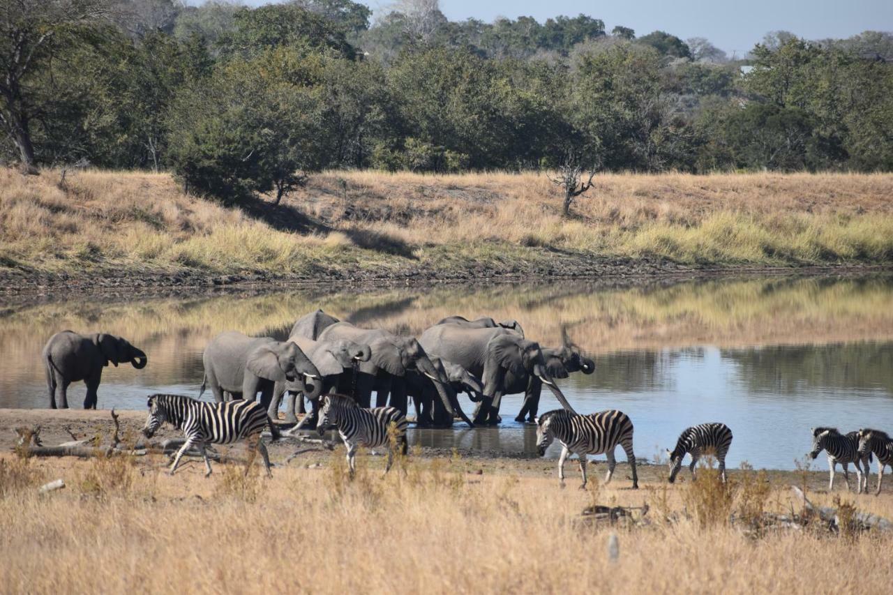 Mzsingitana Tented Camp Hoedspruit Dış mekan fotoğraf