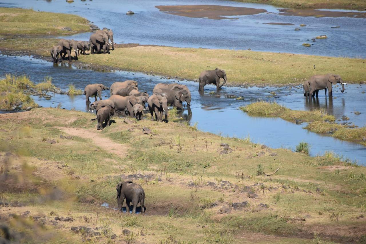 Mzsingitana Tented Camp Hoedspruit Dış mekan fotoğraf