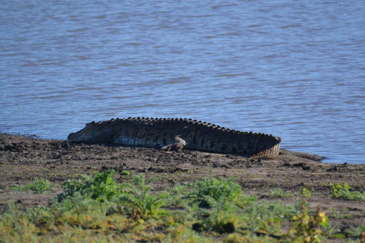 Mzsingitana Tented Camp Hoedspruit Dış mekan fotoğraf