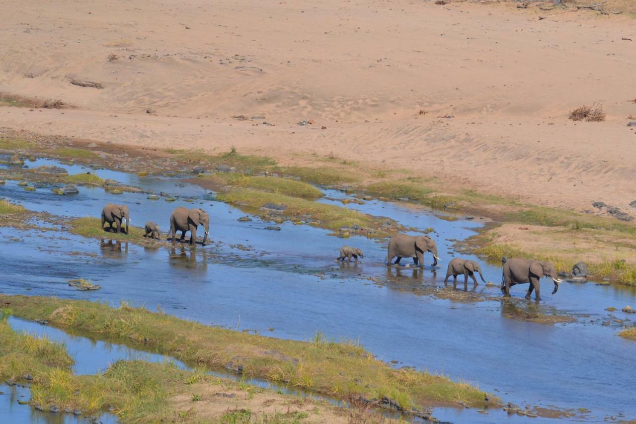 Mzsingitana Tented Camp Hoedspruit Dış mekan fotoğraf